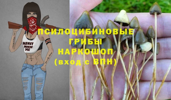 ECSTASY Балабаново